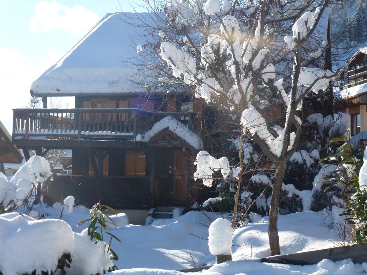 "Chalet Les Aravis" Chalet Et Appartements ル・グラン・ボルナン エクステリア 写真