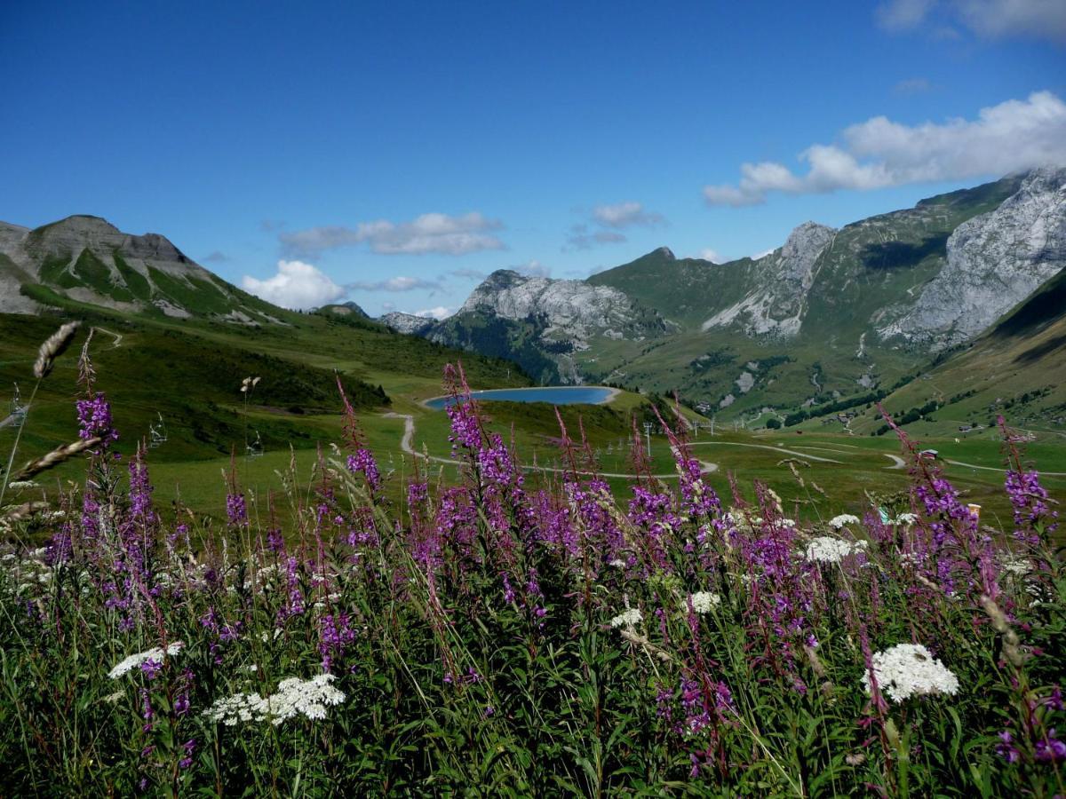 "Chalet Les Aravis" Chalet Et Appartements ル・グラン・ボルナン エクステリア 写真