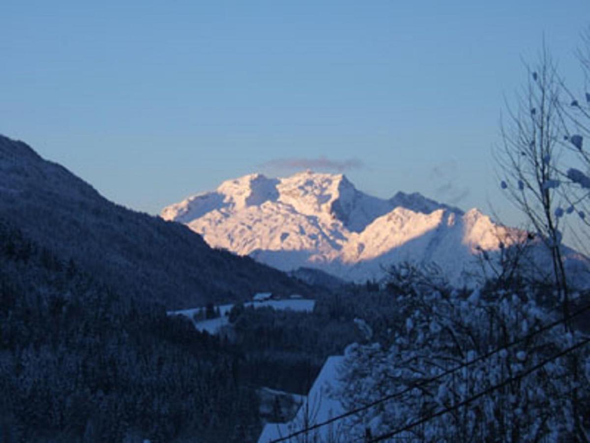 "Chalet Les Aravis" Chalet Et Appartements ル・グラン・ボルナン エクステリア 写真