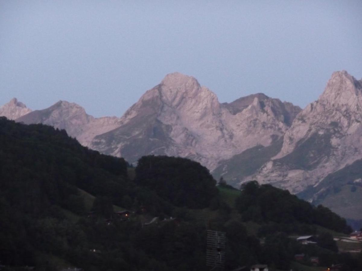 "Chalet Les Aravis" Chalet Et Appartements ル・グラン・ボルナン エクステリア 写真