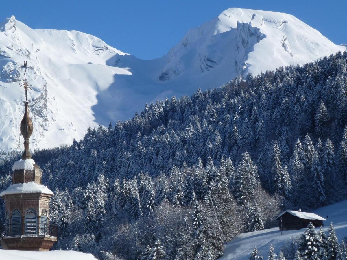 "Chalet Les Aravis" Chalet Et Appartements ル・グラン・ボルナン エクステリア 写真