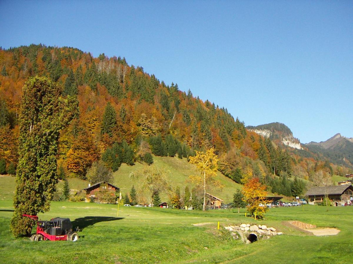 "Chalet Les Aravis" Chalet Et Appartements ル・グラン・ボルナン エクステリア 写真