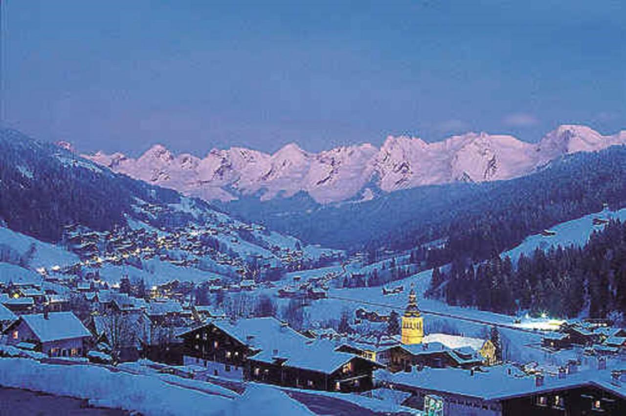 "Chalet Les Aravis" Chalet Et Appartements ル・グラン・ボルナン エクステリア 写真