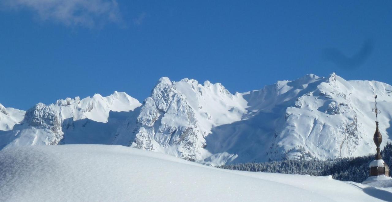 "Chalet Les Aravis" Chalet Et Appartements ル・グラン・ボルナン エクステリア 写真