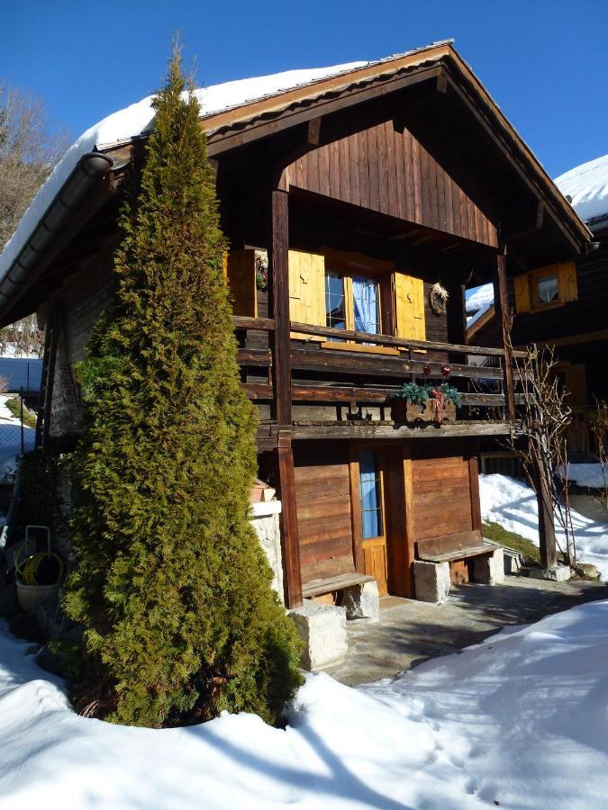 "Chalet Les Aravis" Chalet Et Appartements ル・グラン・ボルナン エクステリア 写真