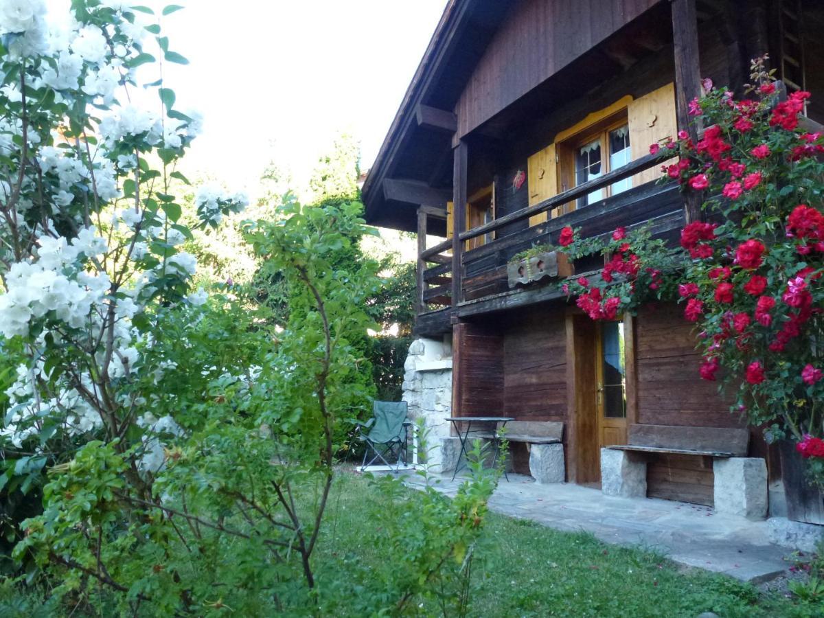 "Chalet Les Aravis" Chalet Et Appartements ル・グラン・ボルナン エクステリア 写真